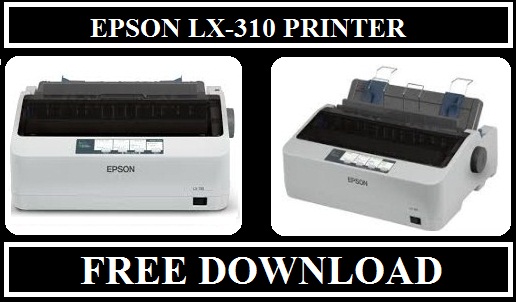 Epson Lx 300 Driver For Windows 10